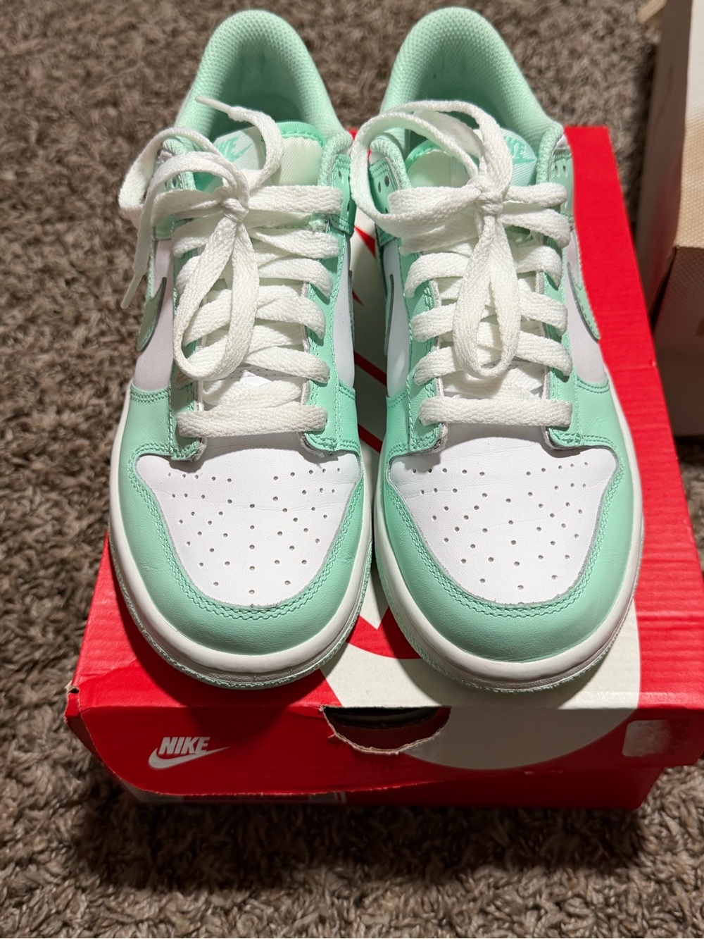Nike Kids Mint Green and White Low-Top Sneakers